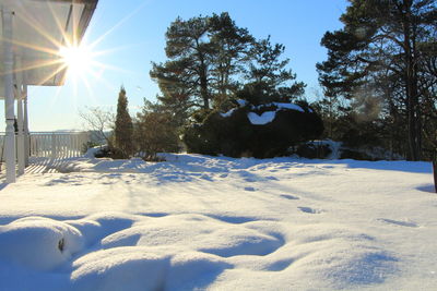 Trees on snow field against sky during winter