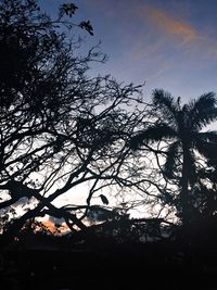 Low angle view of silhouette trees against sky at sunset