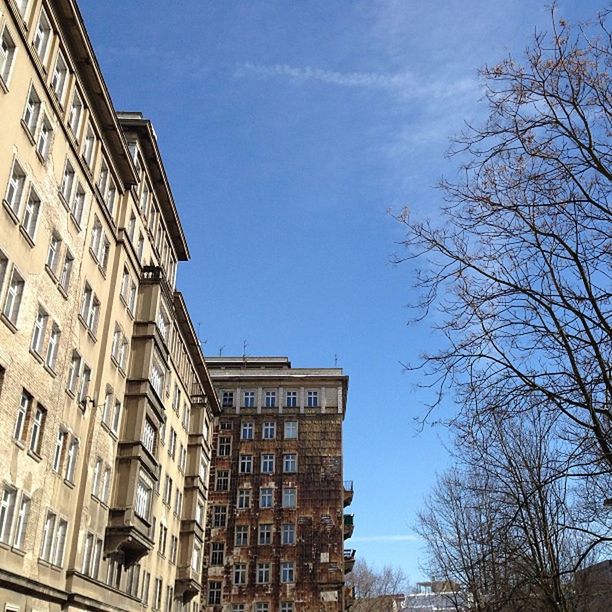 architecture, building exterior, built structure, low angle view, city, tree, building, bare tree, sky, clear sky, blue, residential building, residential structure, window, day, outdoors, no people, sunlight, facade, branch