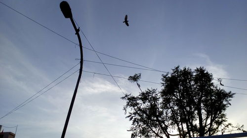 Low angle view of silhouette birds against sky