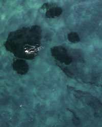 High angle view of rock in sea