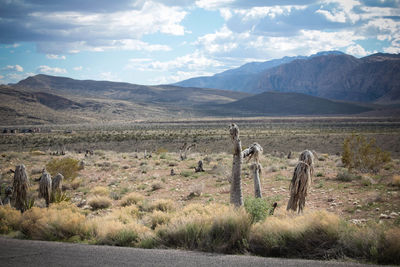 Scenic view of landscape and mountains against