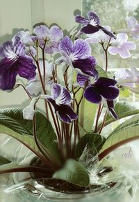 Close-up of purple flowers