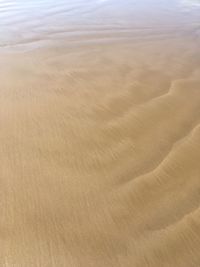 Aerial view of sand dunes