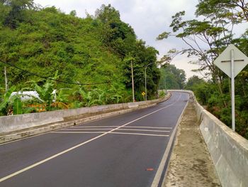 Road by trees in city against sky