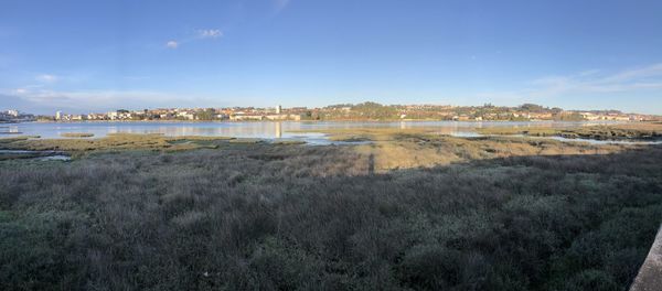 Scenic view of river by city against sky