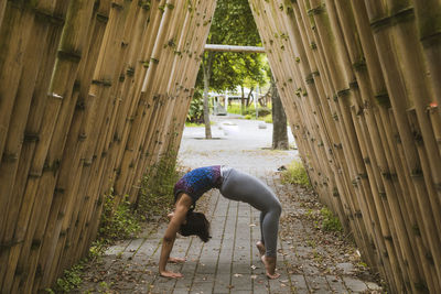 Women making yoga on the park