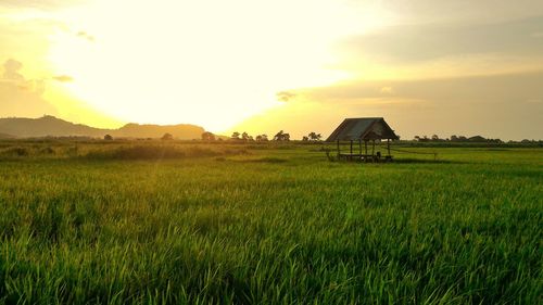 Scenic view of grassy field against cloudy sky during sunset