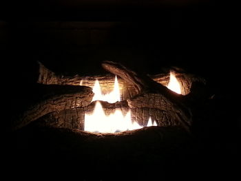 Close-up of bonfire at night