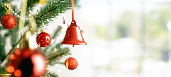 Close-up of christmas decorations hanging on tree