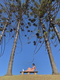 Low angle view of tree against sky