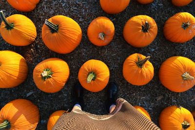 High angle view of pumpkins in market