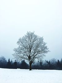 Bare tree on snow covered landscape against clear sky