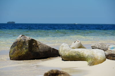 Scenic view of sea against clear sky