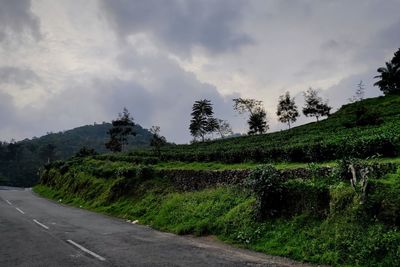 Road by trees against sky