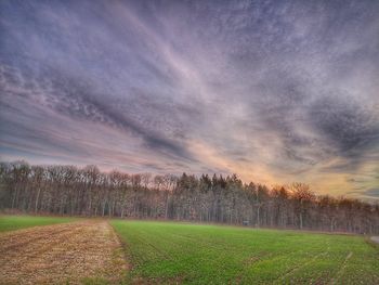 Scenic view of field against sky during sunset