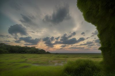 nature