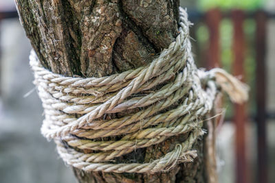 Close-up of rope tied up