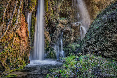 View of waterfall in forest