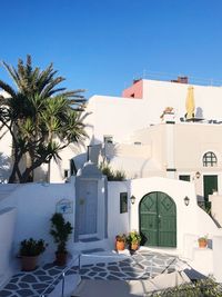 Potted plants by swimming pool against building