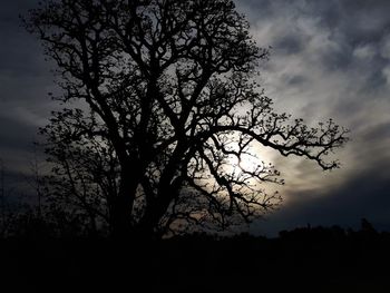 Low angle view of silhouette tree against sky at sunset