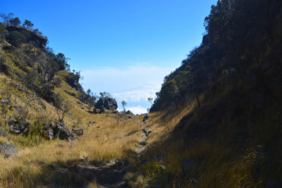 Scenic view of mountains against clear sky