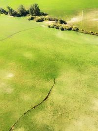 High angle view of green landscape