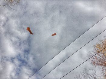 Low angle view of sky