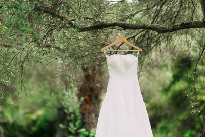 Close-up of white dress hanging on tree in forest