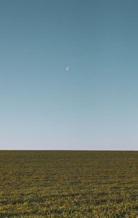 Scenic view of field against moon and clear sky