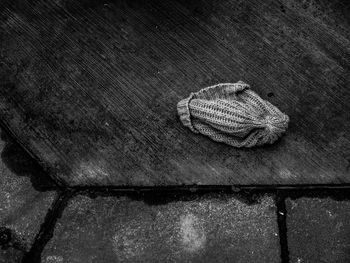 High angle view of lost knit hat on footpath