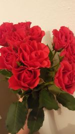 Close-up of red roses