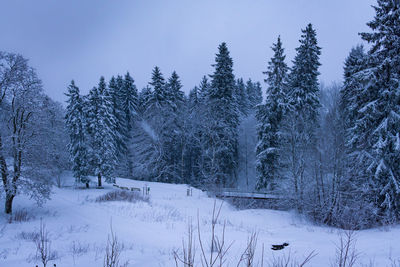 Snow covered trees on field against sky during winter