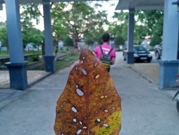 Close-up of person on footpath by street