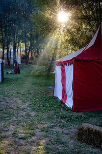 Clothes drying on field by trees against sky