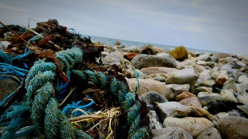 Close-up of fishing net on beach