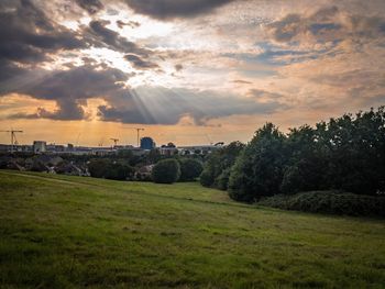 Scenic view of field against sky during sunset