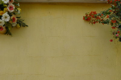 Close-up of yellow flowers against wall