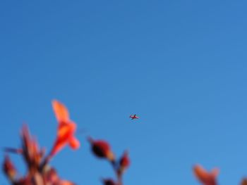 Low angle view of helicopter flying against clear blue sky