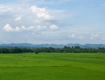 Scenic view of landscape against sky