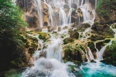 Scenic view of waterfall in forest