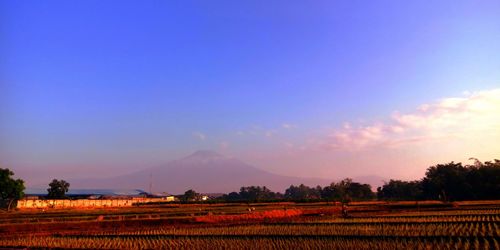 Scenic view of field against sky during sunset
