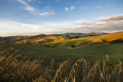 Scenic view of agricultural field against sky during sunset