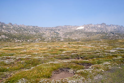 Scenic view of landscape against clear sky