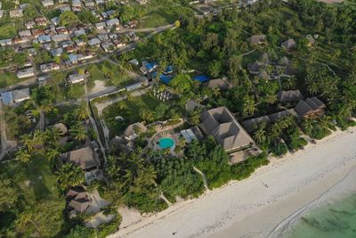 High angle view of trees and buildings