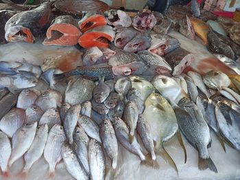 High angle view of fish for sale in market