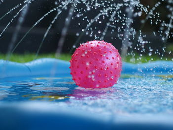 Close-up of wet red ball in swimming pool
