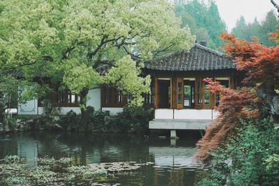 Plants and trees by lake against building