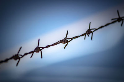 Close-up of barbed wire against sky