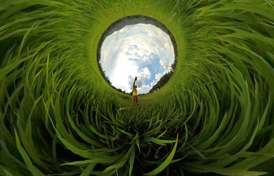 Digital composite image of plants and sea against sky